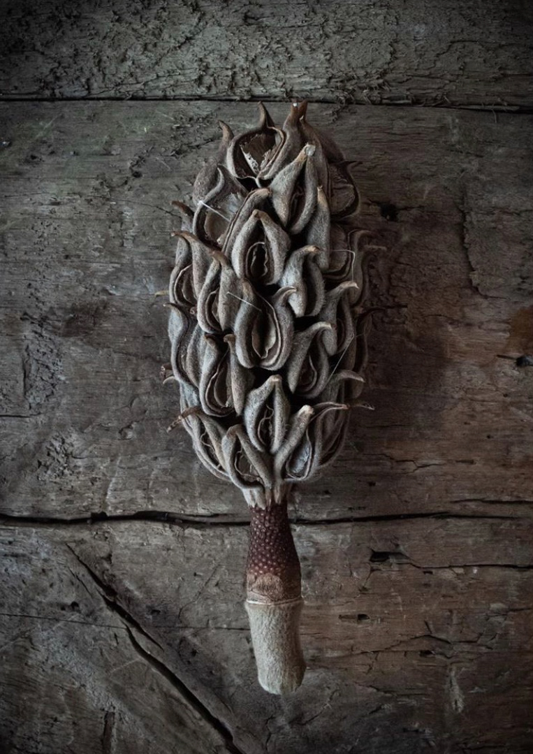 Alfredo Gildemeister The Little Black Guide