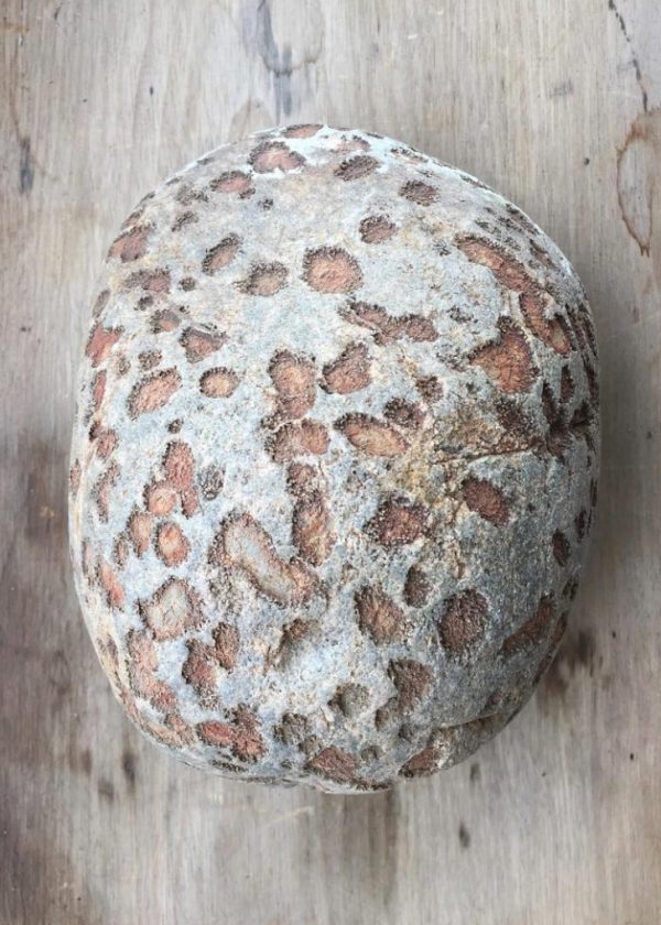 ALFREDO-GILDEMESTER-2