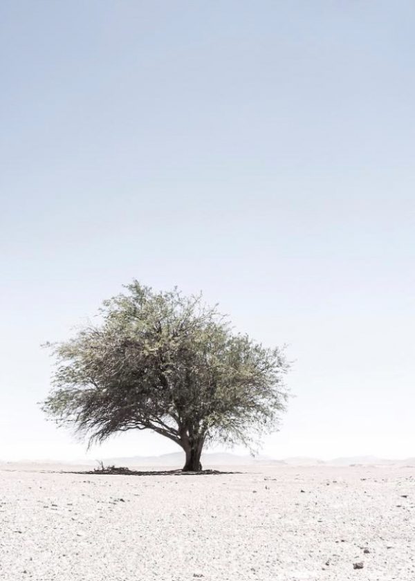 ALFREDO-GILDEMESTER-3