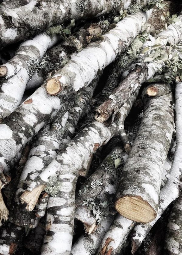 ALFREDO-GILDEMESTER-4