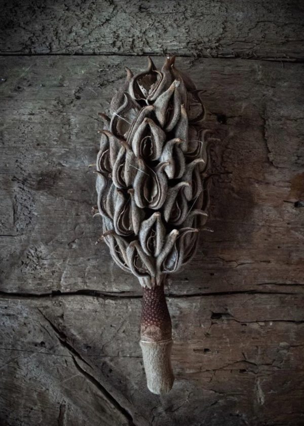 ALFREDO-GILDEMESTER-5