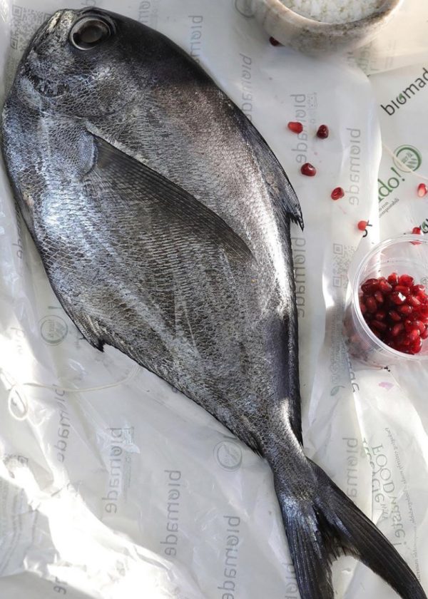 ASA-ESTUDIO-CREATIVO-4