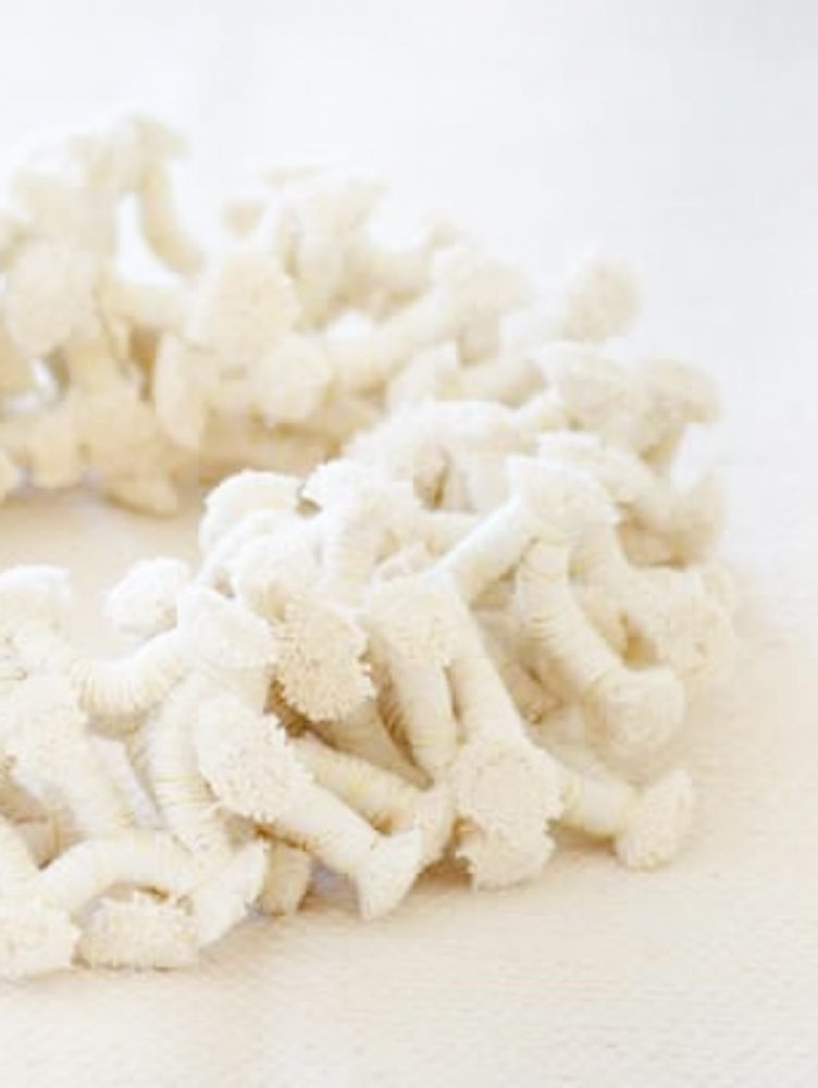 Agostina-Branchi-5Valesca-Bicicleta-B-N-2021-1