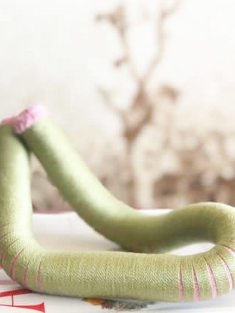 Agotina-Branchi-6Valesca-Bicicleta-B-N-2021