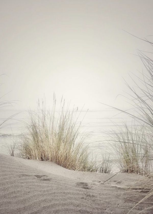 Alfredo-Gildemeister-2