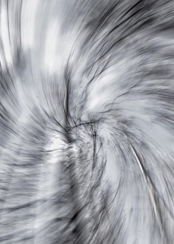 Alfredo-Gildemeister