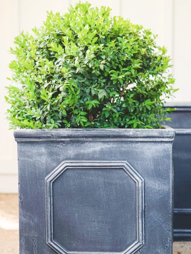 CHAGUAL-2Valesca-Bicicleta-B-N-2021