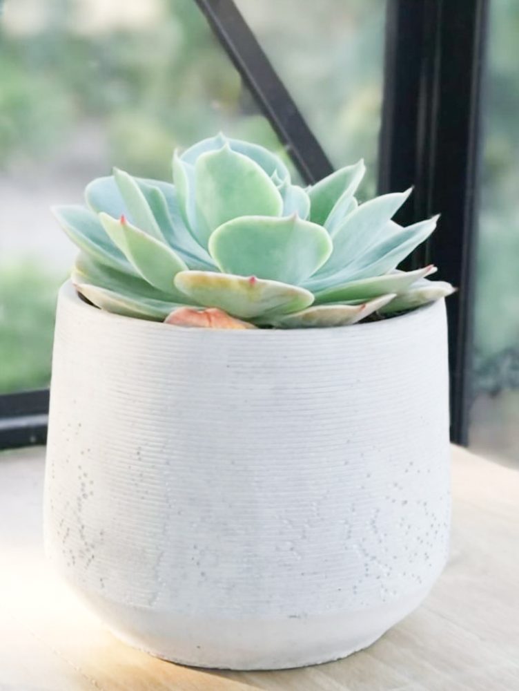 CHAGUAL-3Valesca-Bicicleta-B-N-2021