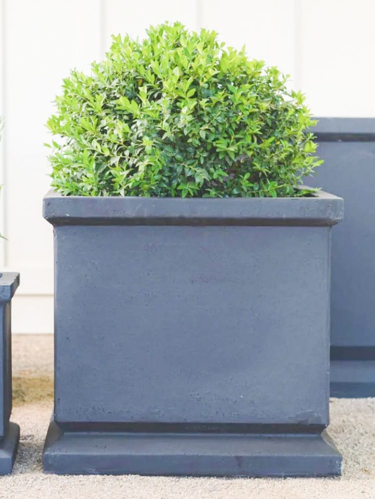 CHAGUALValesca-Bicicleta-B-N-2021