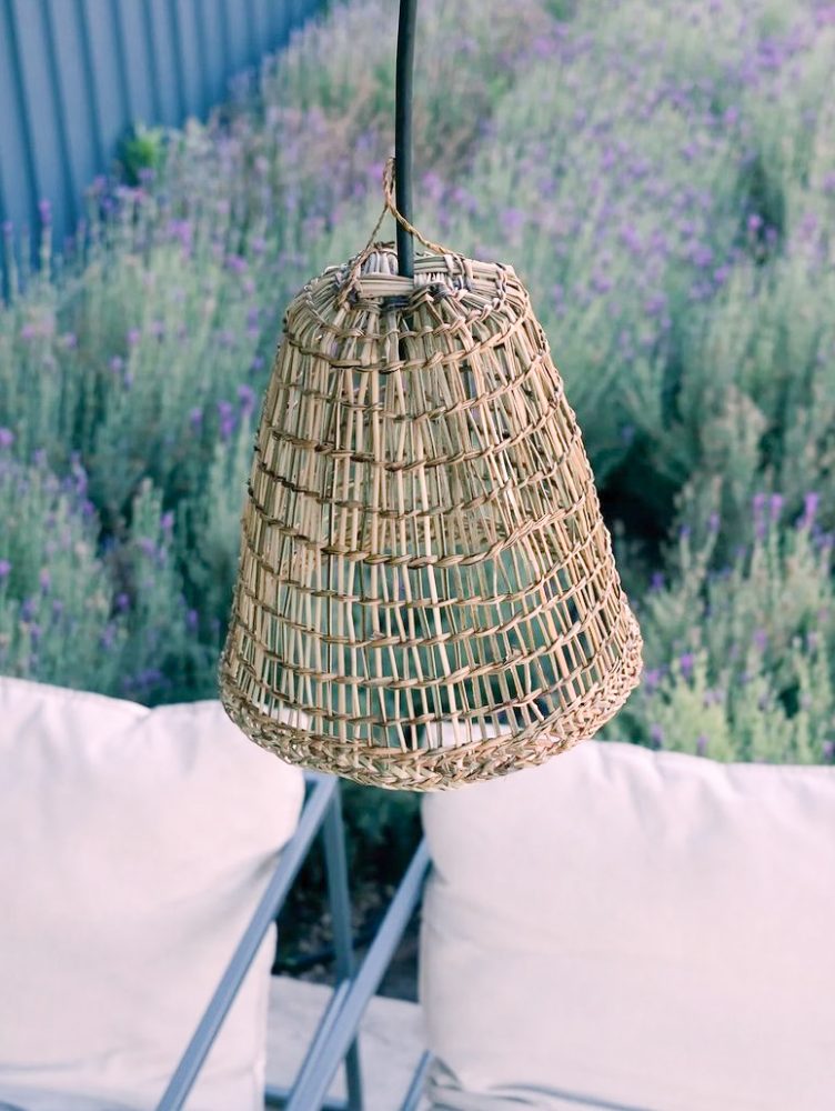 CORDILLERANA-4Valesca-Bicicleta-B-N-2021