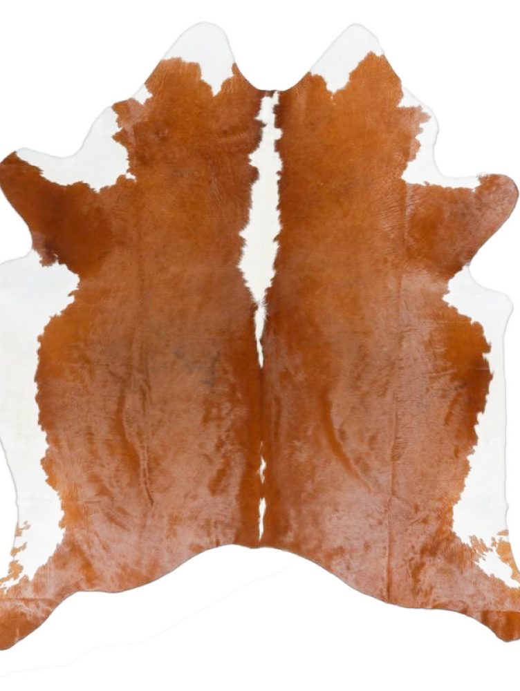 CURTIEMBRE-RIO-BUENO