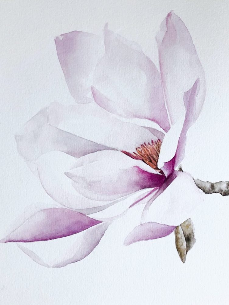 DANIELA-FUCHSLOCHER-2-1