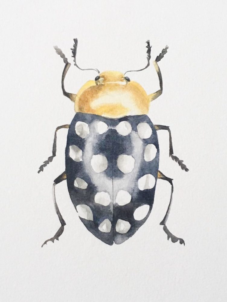 DANIELA-FUCHSLOCHER-5-1