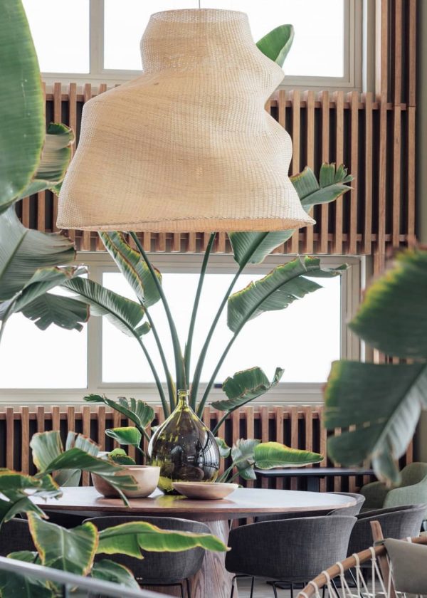 ESTUDIO-PAULA-GUTIERREZ