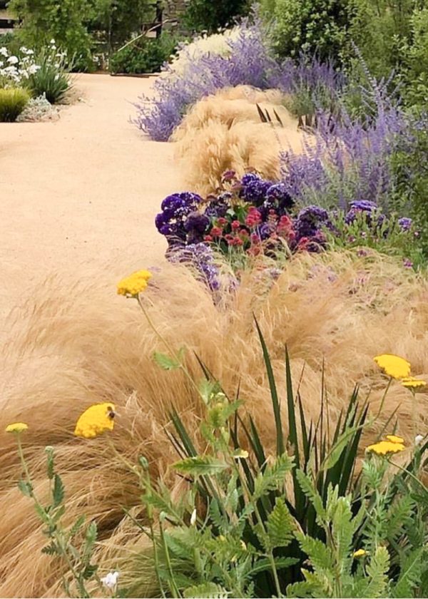 FLORA-ESTUDIO-PAISAJE-2