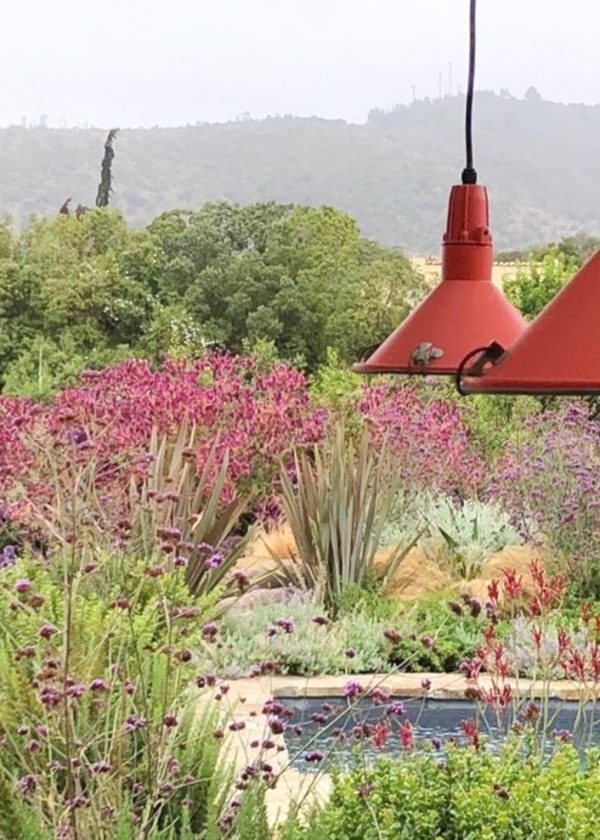 FLORA-ESTUDIO-PAISAJE