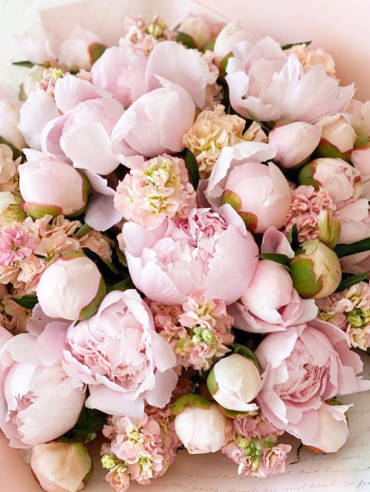 FLORISSIMO-4