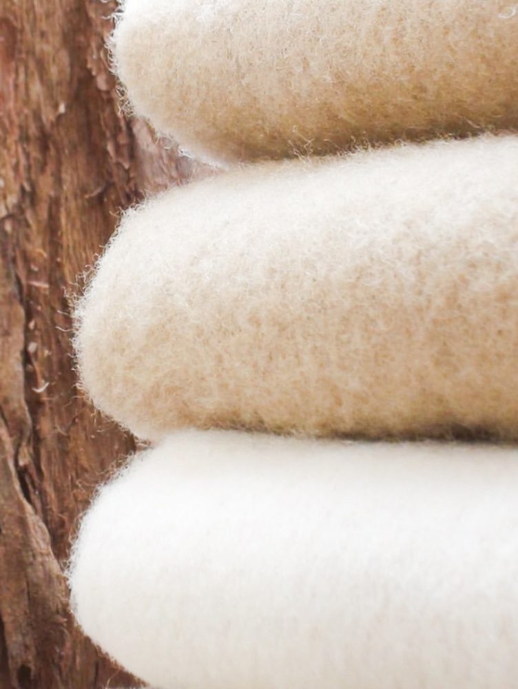 Frazadas-El-Castillo-2Valesca-Bicicleta-B-N-2021