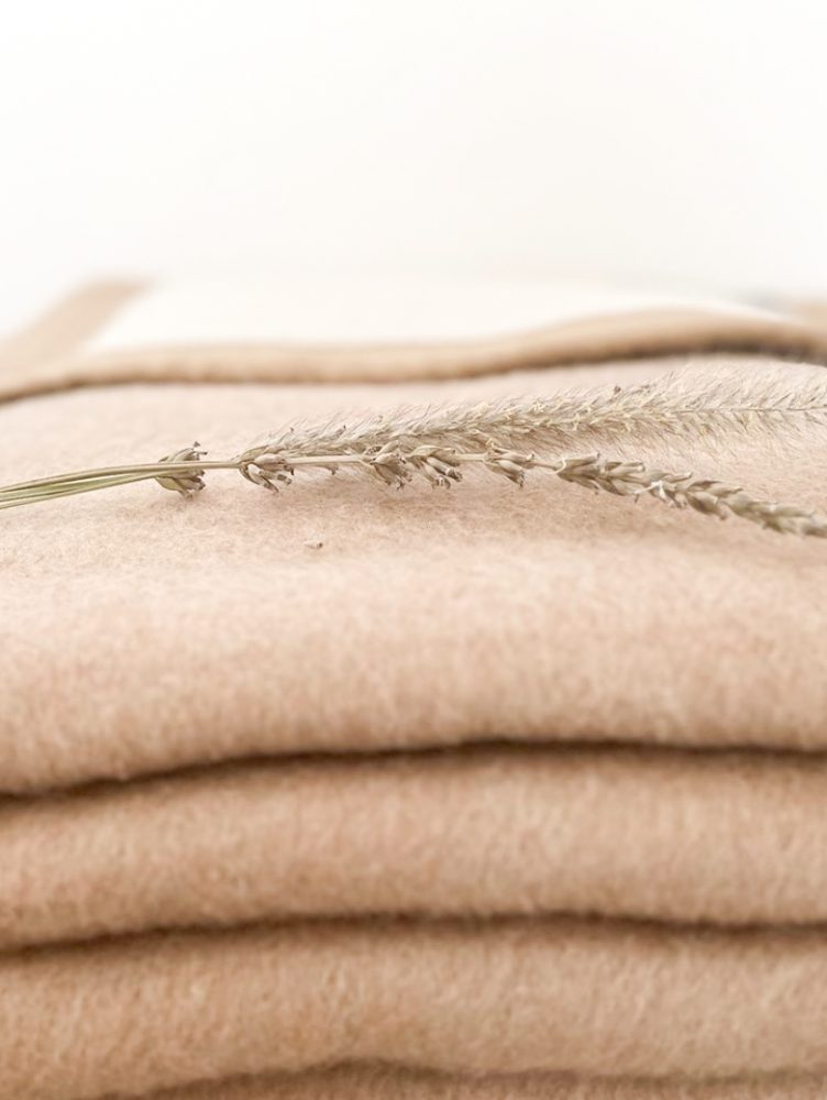 Frazadas-El-Castillo-3Valesca-Bicicleta-B-N-2021