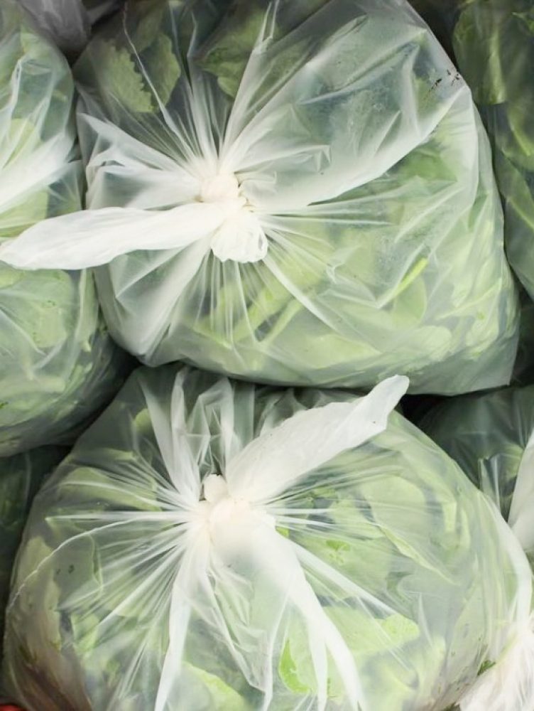 HUERTO-CUATRO-ESTACIONES-5.2021