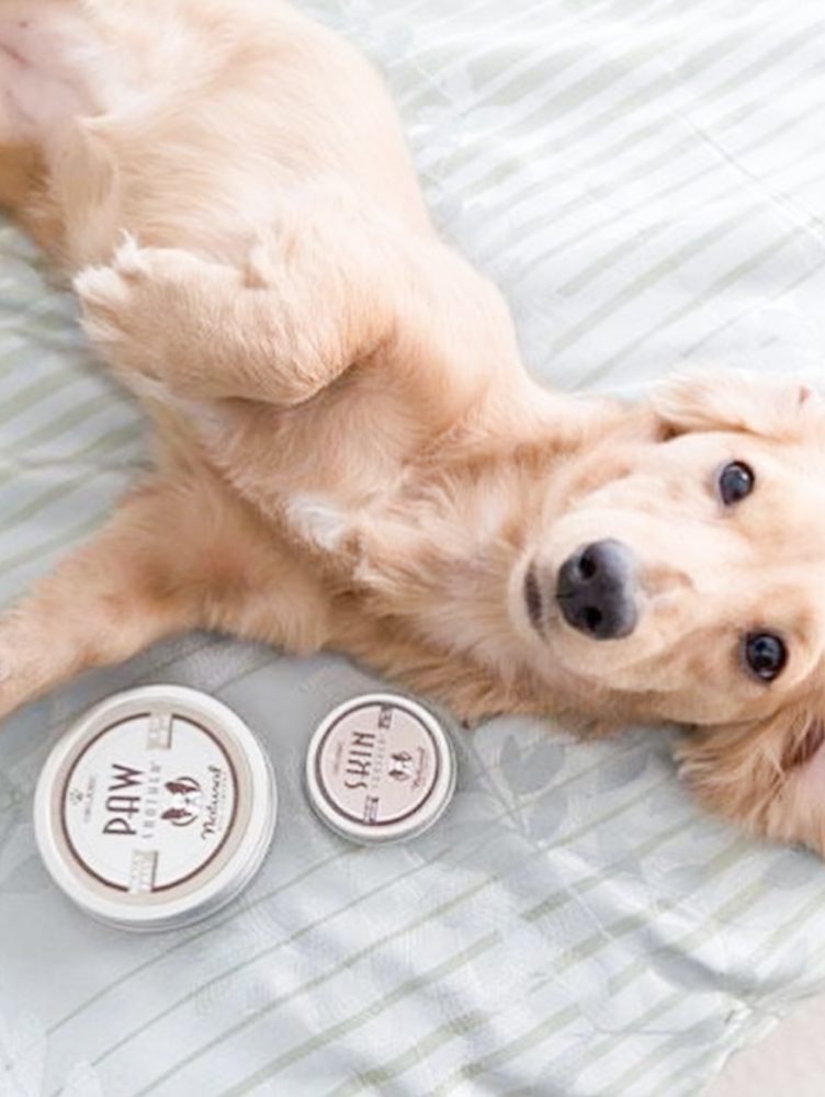 HUND-SHOP-2Valesca-Bicicleta-B-N-2021