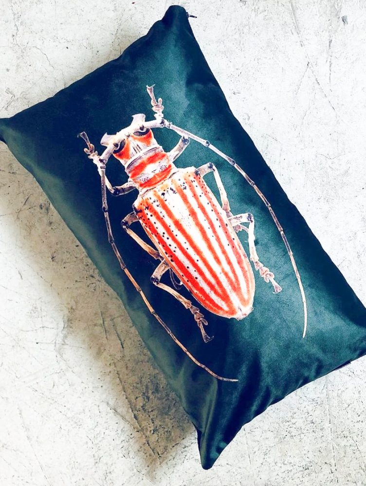 LARRY-DISEÑOSValesca-Bicicleta-B-N-2021