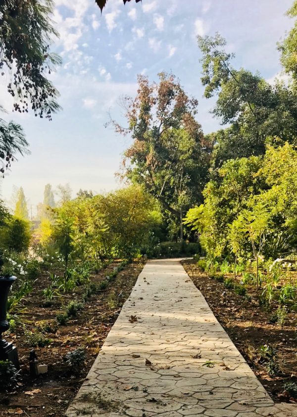 LEON-Y-TOSO-PAISAJISMO-2-1