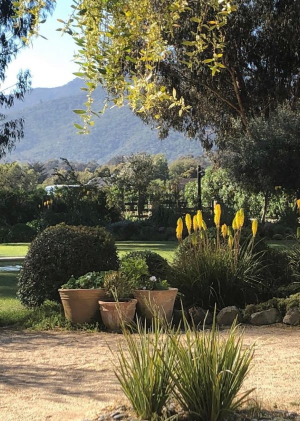 LEON-Y-TOSO-PAISAJISMO-3-1