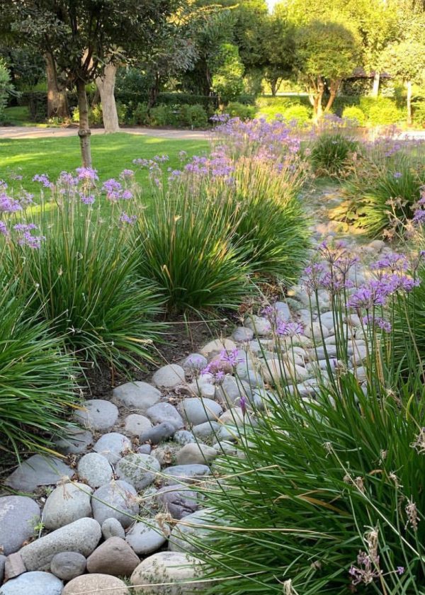 LEON-Y-TOSO-PAISAJISMO_-2