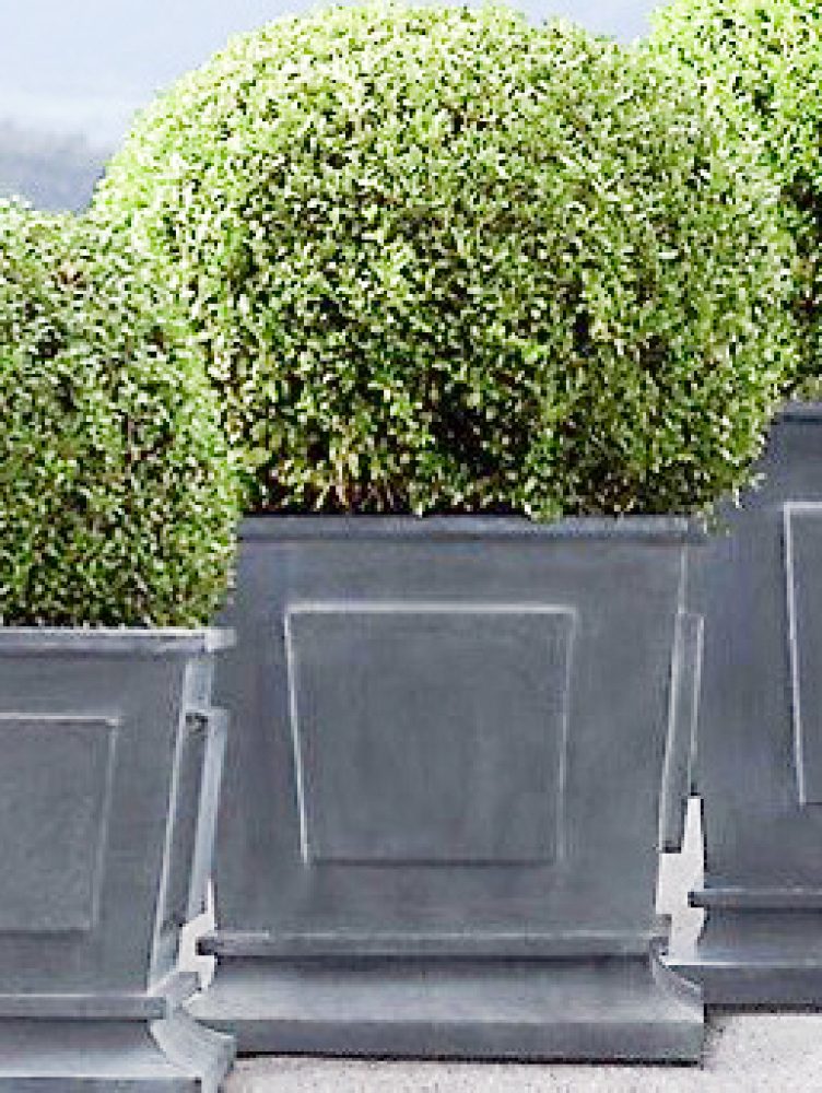 MACETEROS-PAULA-GEYEGER