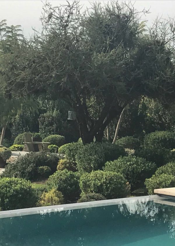 MARIA-TERESA-LEIGHTON-1