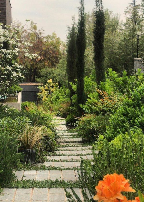 MARIA-TERESA-LEIGHTON-2-1