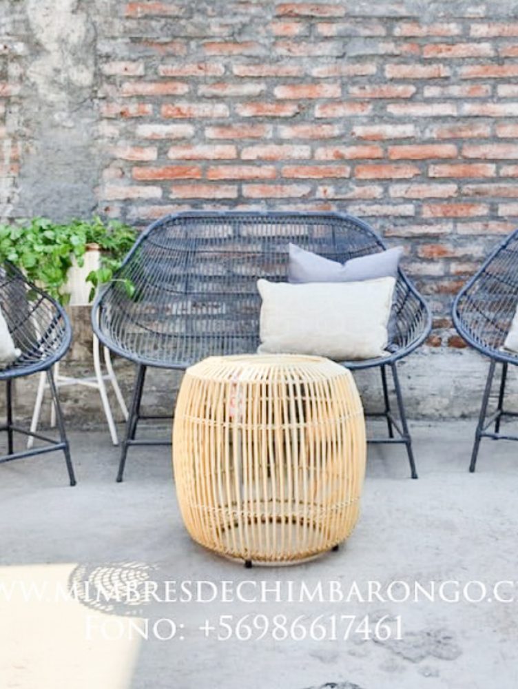 MIMBRES-DE-CHIMBAROGO-2Valesca-Bicicleta-B-N-2021