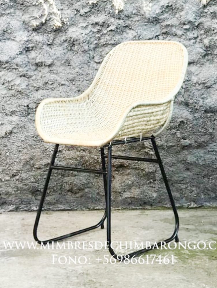 MIMBRES-DE-CHIMBARONGO-3Valesca-Bicicleta-B-N-2021