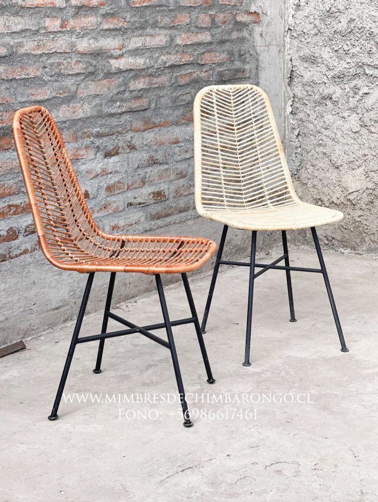 MIMBRES-DE-CHIMBARONGO-4Valesca-Bicicleta-B-N-2021