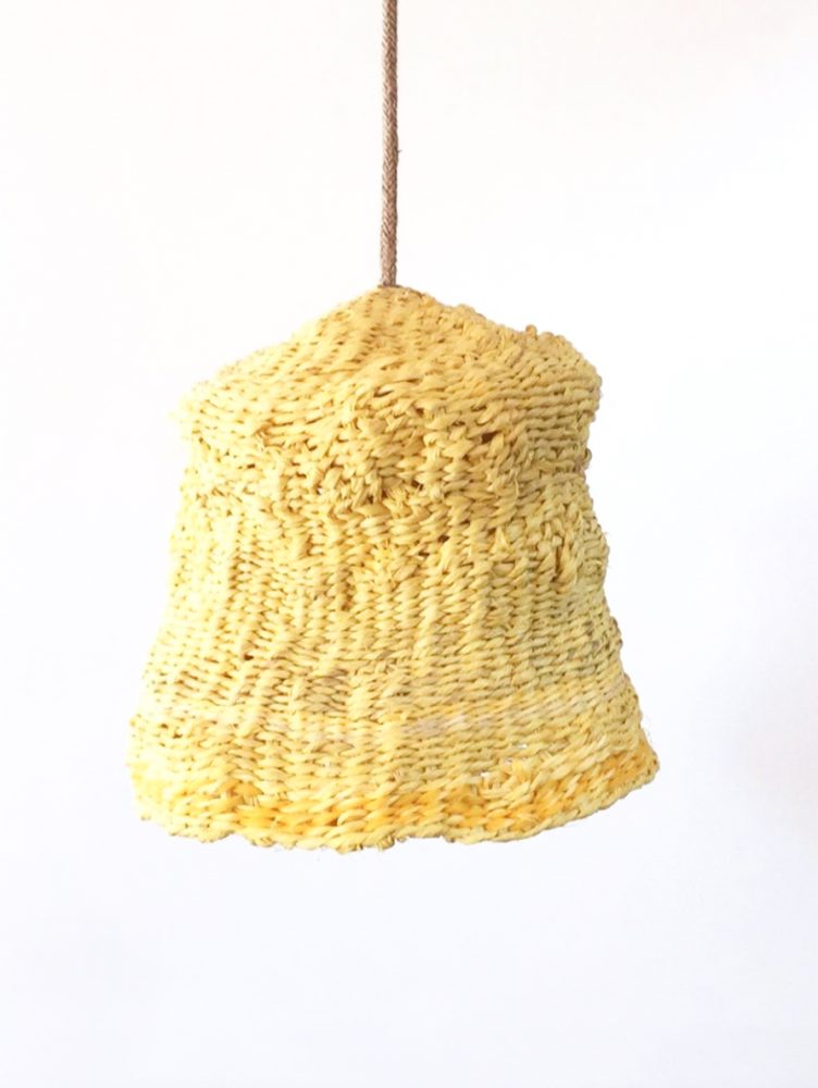 NETAUP-2