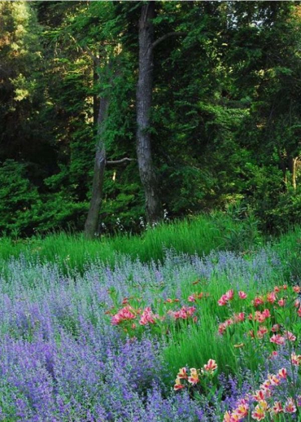 NICOLAS-SANCHEZ-PAISAJISMO-1