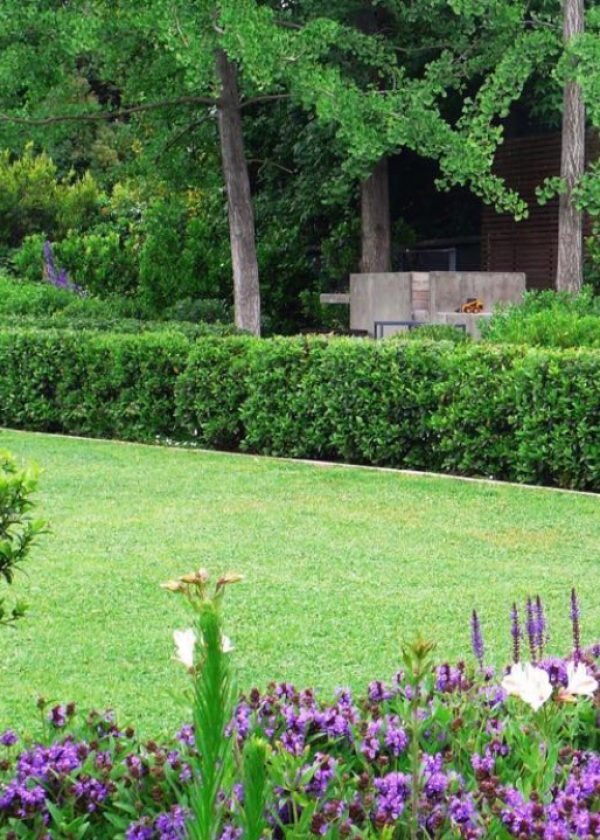 NICOLAS-SANCHEZ-PAISAJISMO-2-1