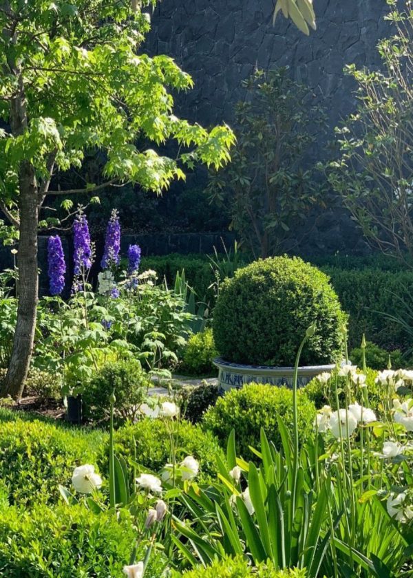 PASSALACQUA-PAISAJISMO-1