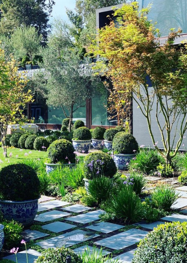 PASSALACQUA-PAISAJISMO-2