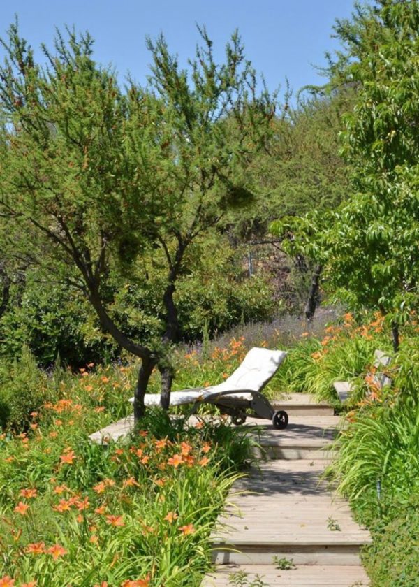 PASSALACQUA-PAISAJISMO-5-1