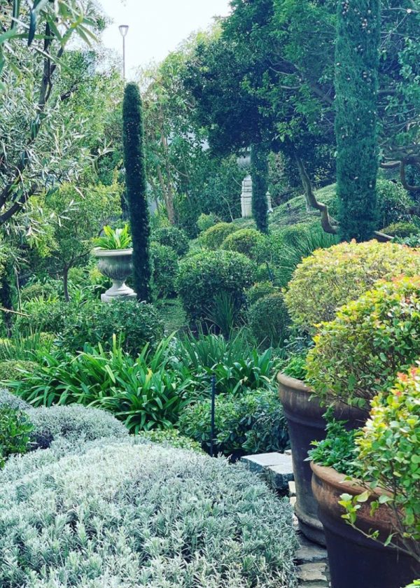 PASSALACQUA-PAISAJISMO-6-1