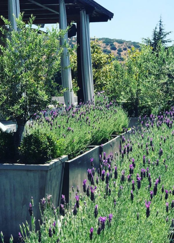 PASSALCQUA-PAISAJISMO-1