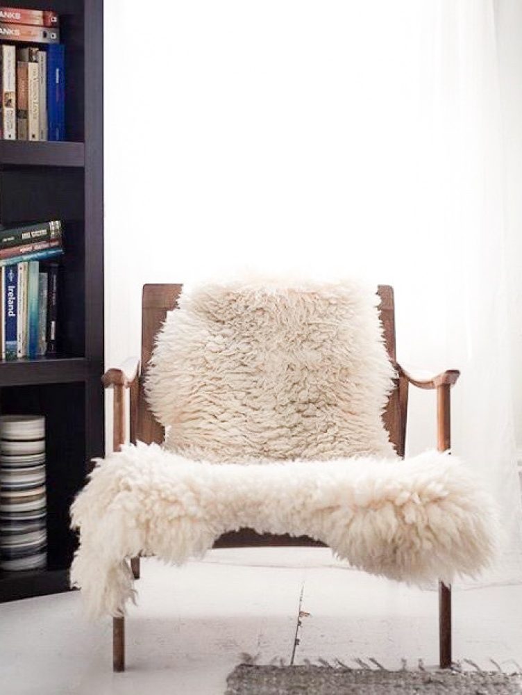 PATAGONIA-DESIGN-2-1