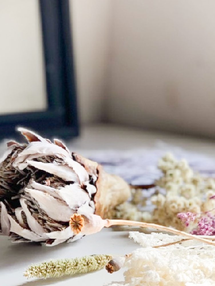 PERPETUA-FLORERIA-4Valesca-Bicicleta-B-N-2021