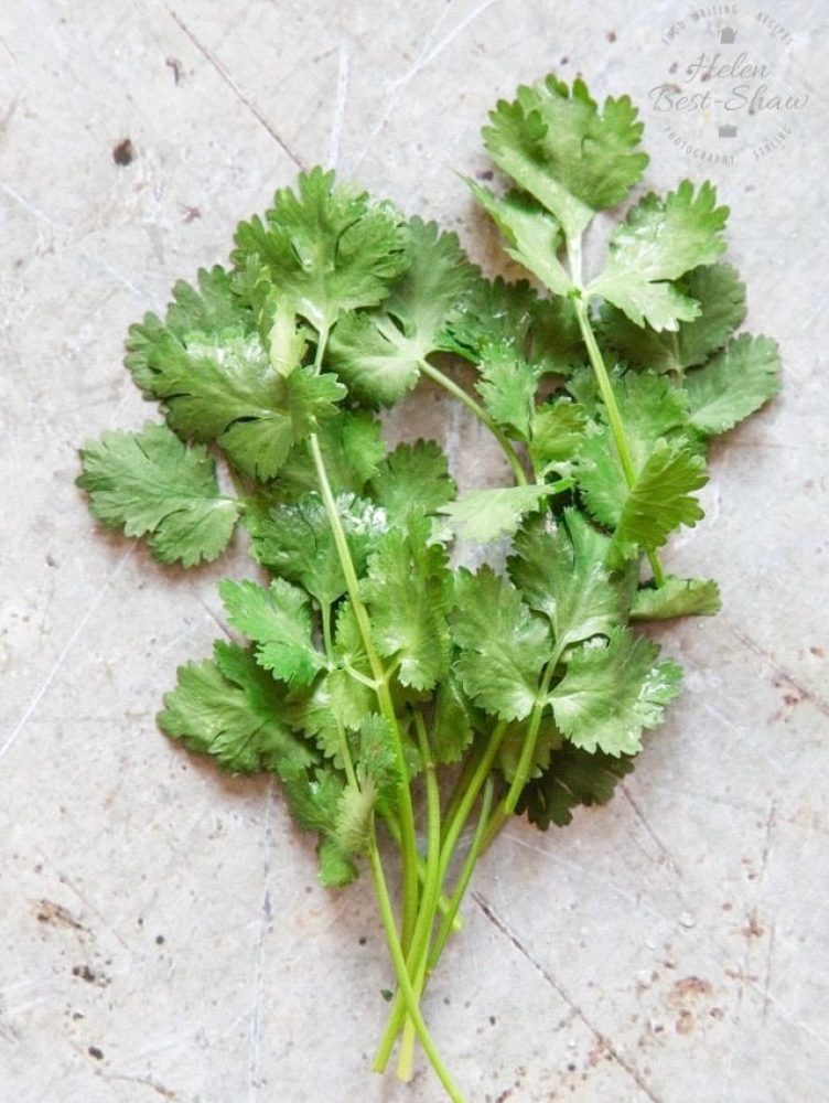 PLANTIN 4Valesca Bicicleta B-N 2021