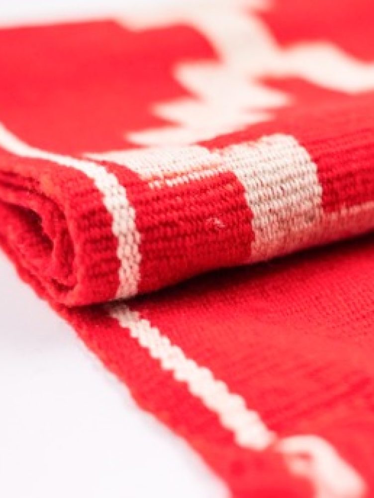 PUEBLOS-ORIGINARIOS-Valesca-Bicicleta-B-N-2021