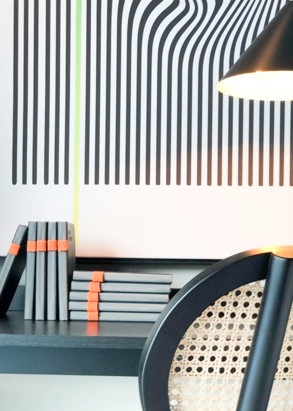 REONVARE-DESIGN-5Valesca-Bicicleta-B-N-2021-1