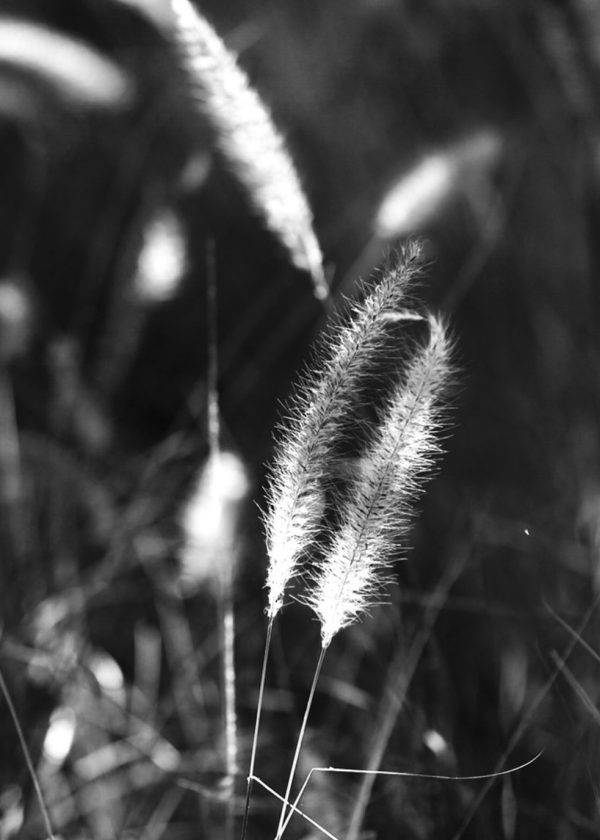 SEBASTIAN-SEPULVEDA-3