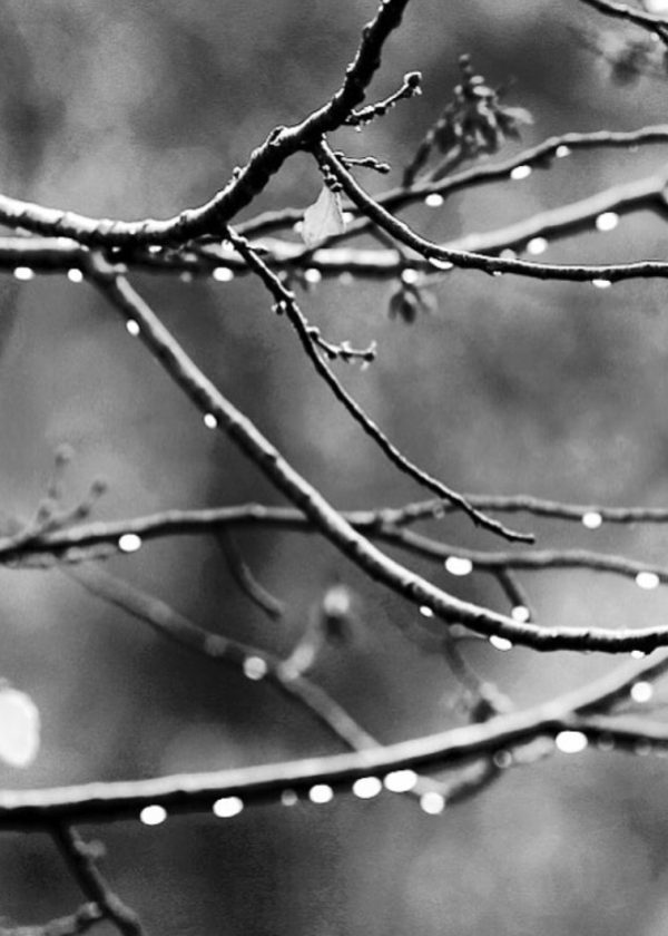 SEBASTIAN-SEPULVEDA-5